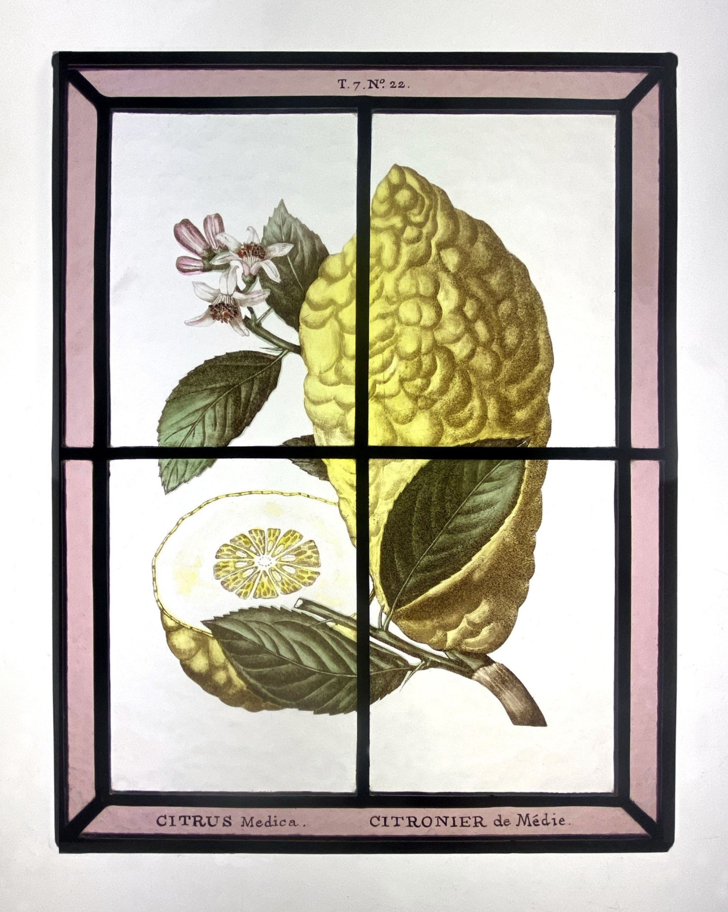 atelier-toporkoff-vitrail-citron-02.jpg